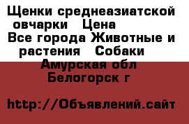 Щенки среднеазиатской овчарки › Цена ­ 20 000 - Все города Животные и растения » Собаки   . Амурская обл.,Белогорск г.